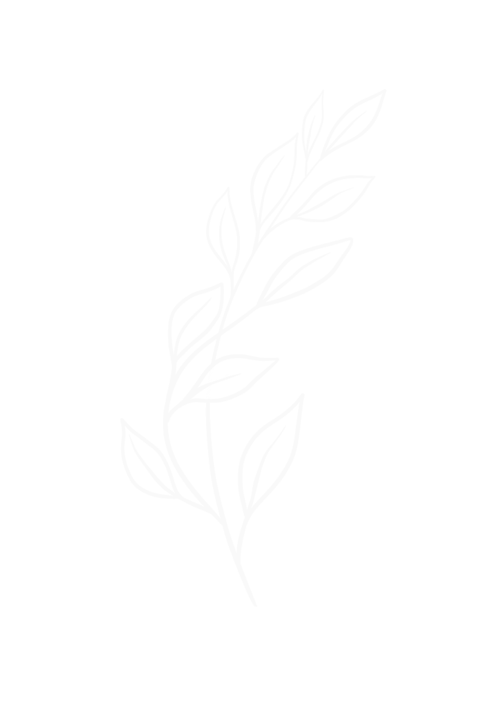 hoja-representacion-crecimiento