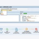 como hacer pruebas odata en la transaccion /n/iwfnd/gw_client